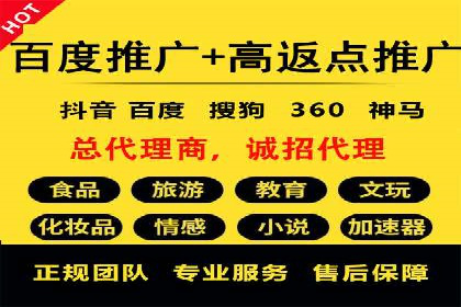 竞价推广策略解析：实战案例分析